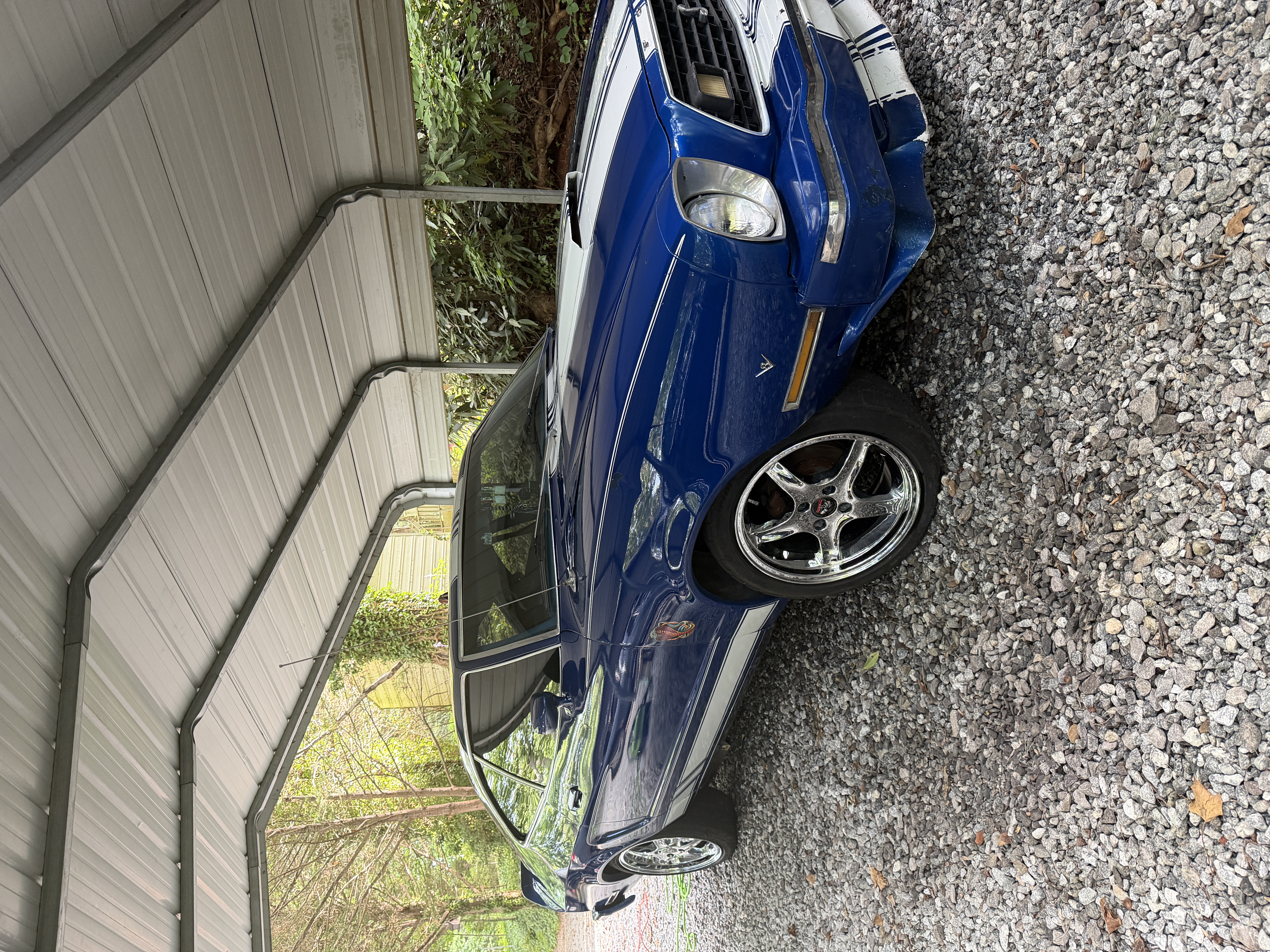 Shelby Full After