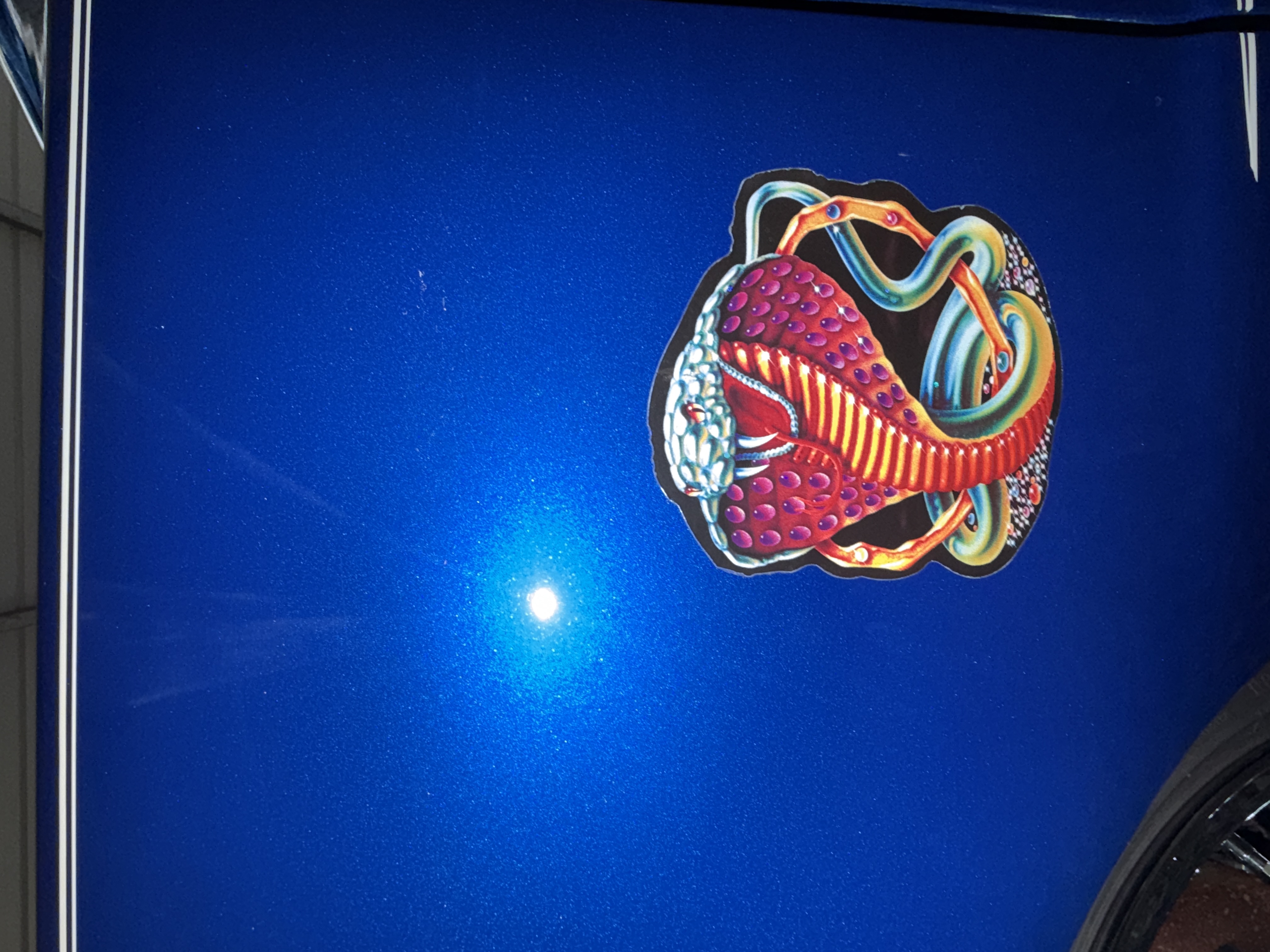Shelby After