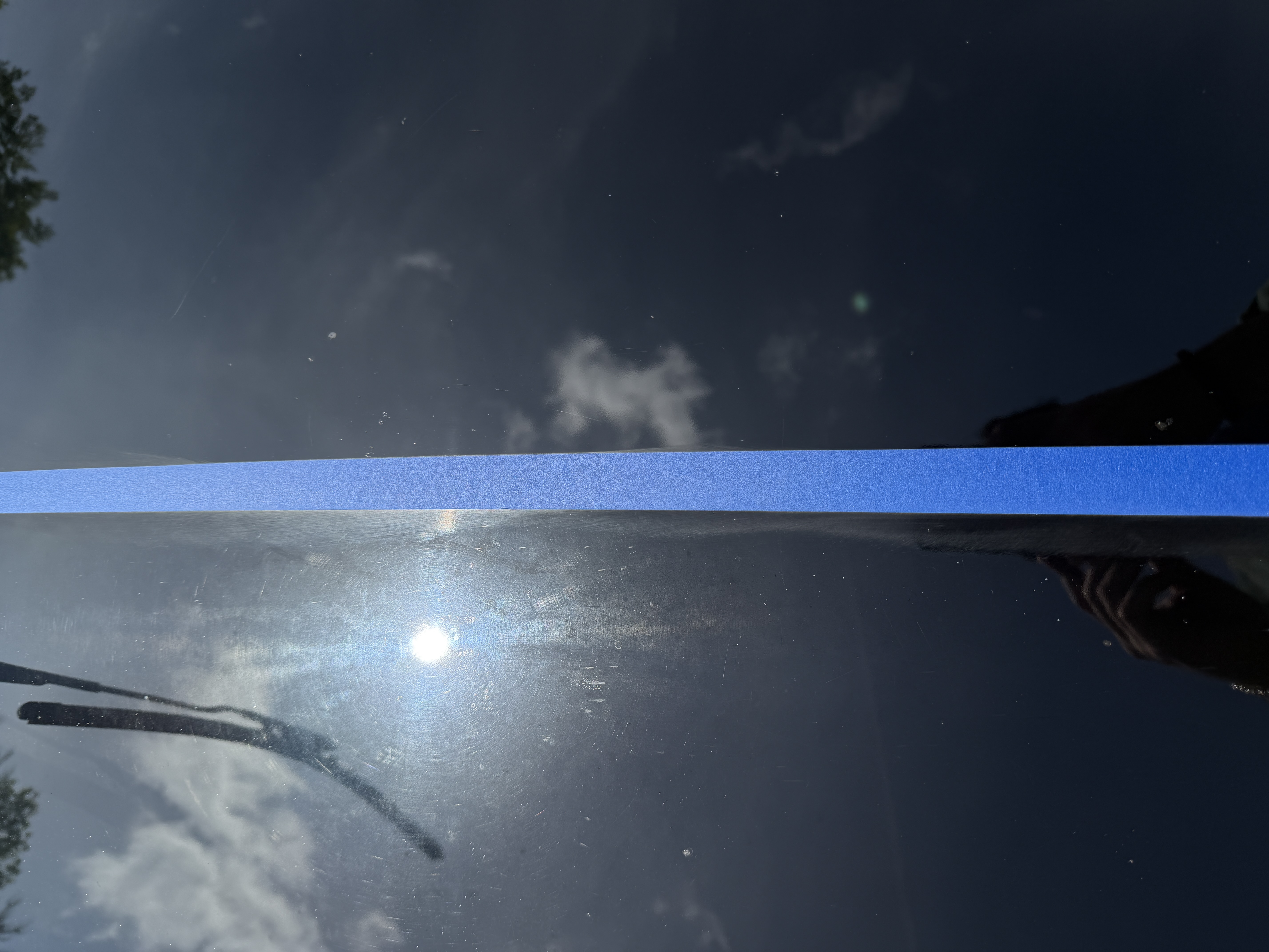 Mustang Paint Correction